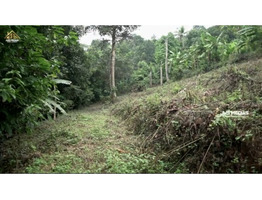 Prime Residential Land for Sale at Moonilavu, Kottayam