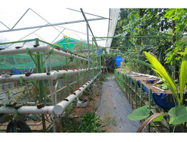 66 cent Land With 3000 Sqft House For Sale