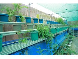 66 cent Land With 3000 Sqft House For Sale