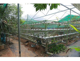 66 cent Land With 3000 Sqft House For Sale