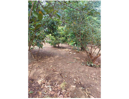 70 cent land with House for sale near by umayanalloor