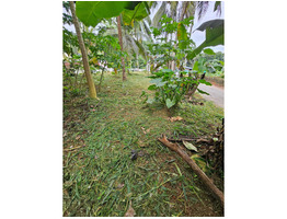 7.4 cent Commercial Land For Sale near by kaipattoor