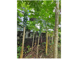 7.4 cent Commercial Land For Sale near by kaipattoor