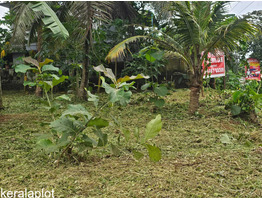 7.4 cent Commercial Land For Sale near by kaipattoor