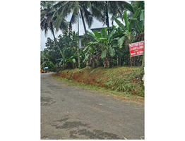 7.4 cent Commercial Land For Sale near by kaipattoor