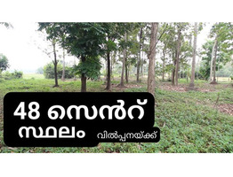 48 Cent Land For Sale Near by Koratty National Highway