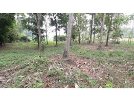 48 Cent Land For Sale Near by Koratty National Highway