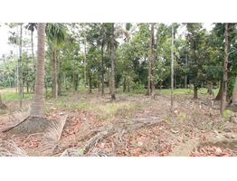 48 Cent Land For Sale Near by Koratty National Highway
