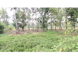 48 Cent Land For Sale Near by Koratty National Highway