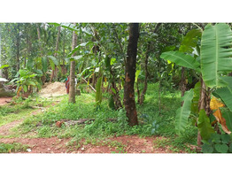 17 Cent Land For Sale Near by Edayil Peediaka