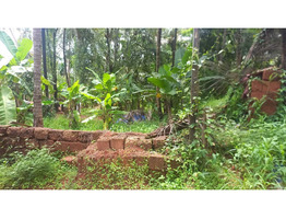17 Cent Land For Sale Near by Edayil Peediaka
