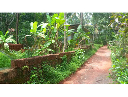 17 Cent Land For Sale Near by Edayil Peediaka