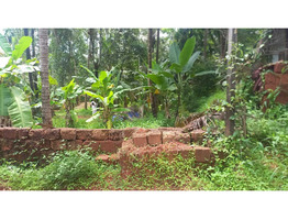 17 Cent Land For Sale Near by Edayil Peediaka