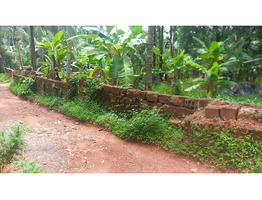 17 Cent Land For Sale Near by Edayil Peediaka