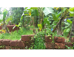 17 Cent Land For Sale Near by Edayil Peediaka