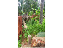 17 Cent Land For Sale Near by Edayil Peediaka