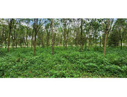 4 Acres Land for Sale at Vazhithala Town