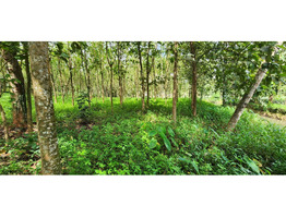 4 Acres Land for Sale at Vazhithala Town