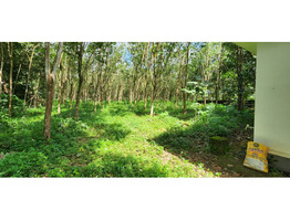 4 Acres Land for Sale at Vazhithala Town