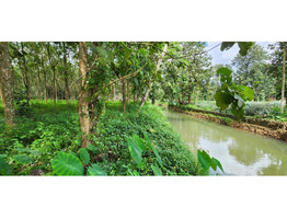 4 Acres Land for Sale at Vazhithala Town