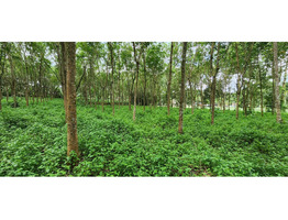 4 Acres Land for Sale at Vazhithala Town