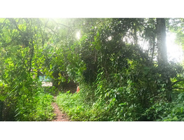 30 Cent Land For Sale at Thirumittakode Town