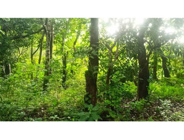 30 Cent Land For Sale at Thirumittakode Town