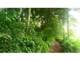 30 Cent Land For Sale at Thirumittakode Town