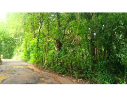 30 Cent Land For Sale at Thirumittakode Town