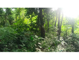 30 Cent Land For Sale at Thirumittakode Town