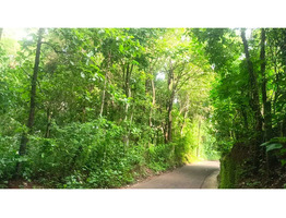 30 Cent Land For Sale at Thirumittakode Town