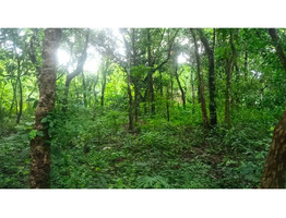 30 Cent Land For Sale at Thirumittakode Town