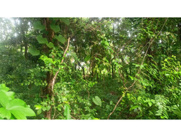 30 Cent Land For Sale at Thirumittakode Town