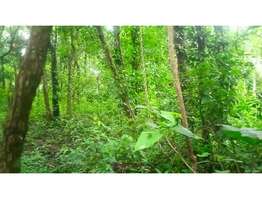 30 Cent Land For Sale at Thirumittakode Town