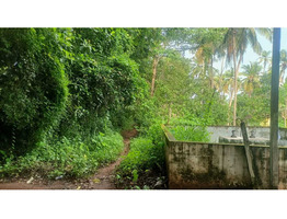30 Cent Land For Sale at Thirumittakode Town