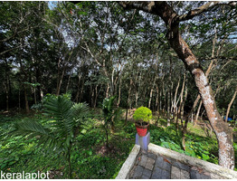 1.3 Acers Land with house For sale near by Nedumkunnam