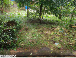 Land and House for sale