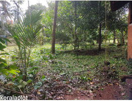 Land and House for sale