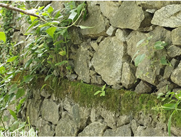 Land and House for sale