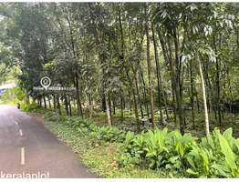 30 cent land for sale near Kanjirapalli, Manimala