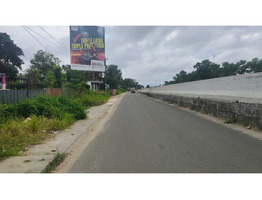 11.5 cent Residential  Land For Sale Near Kalavoor National Highway