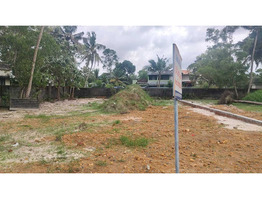 11.5 cent Residential  Land For Sale Near Kalavoor National Highway