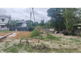 11.5 cent Residential  Land For Sale Near Kalavoor National Highway
