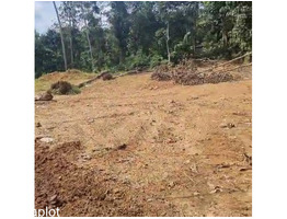 45 cent land for sale at kunnicode