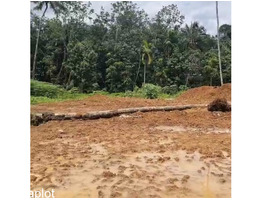 45 cent land for sale at kunnicode