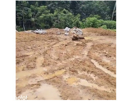 45 cent land for sale at kunnicode