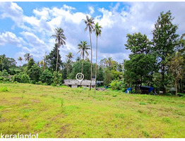 49 Cent Land For Sale at Muvattupuzha, Mannoor