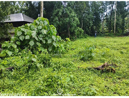 29 Cents Land For Sale at Koothattukulam Route