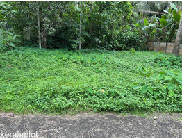5 cents Residential land For sale Near by peechi Dam-Pattikkad Road