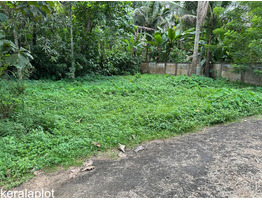 5 cents Residential land For sale Near by peechi Dam-Pattikkad Road